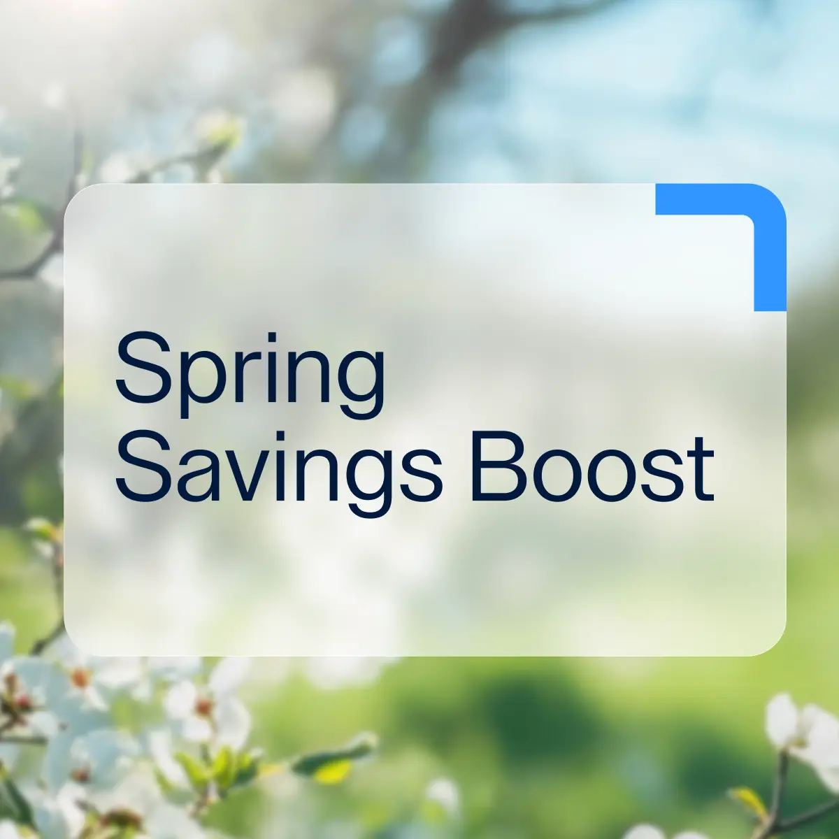 Raisin IE - Spring Savings Spring blossoms in soft focus behind a frosted white overlay containing the dark blue text "Spring Savings Boost" and a blue corner accent.